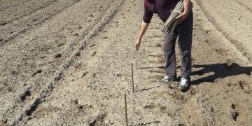 94231249_2984577698297555_7360361699414638592_o-360×240