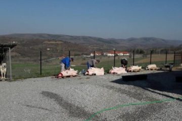 prasad-za-Vaskrs-1-770×330-1-360×240