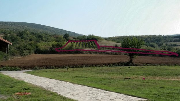 image-0-02-01-5daaba14af487938b511a524c8f74d8484a604d3be60f63bf23b741c4d3af2fe-V