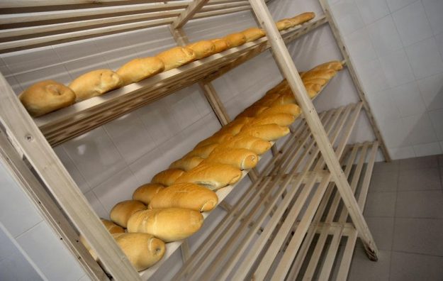 209121168_4242783415810304_2610571043018218744_n