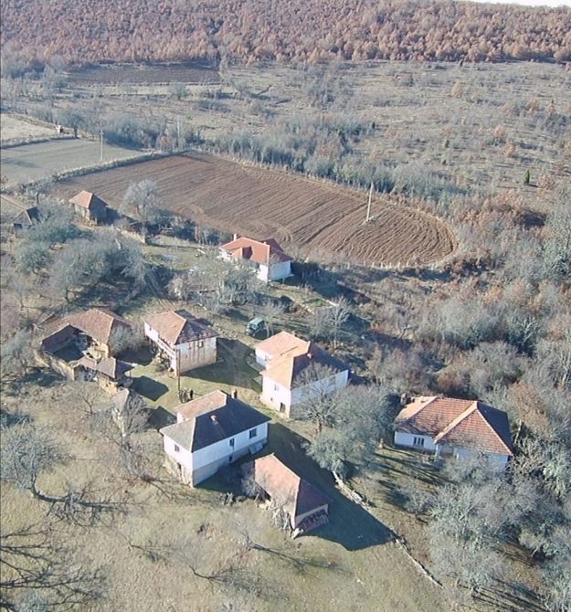 мали_драганац