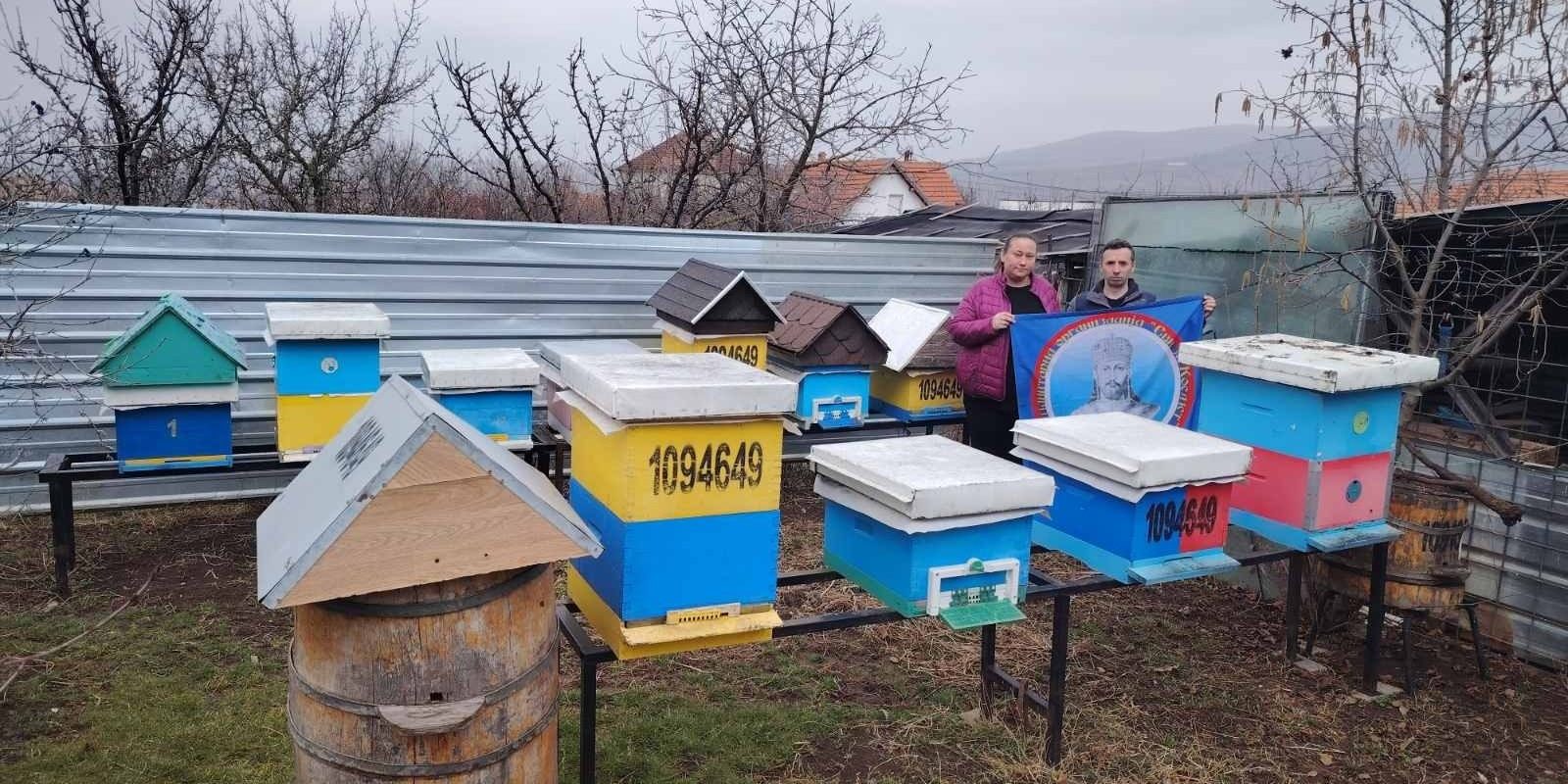 димитријевић