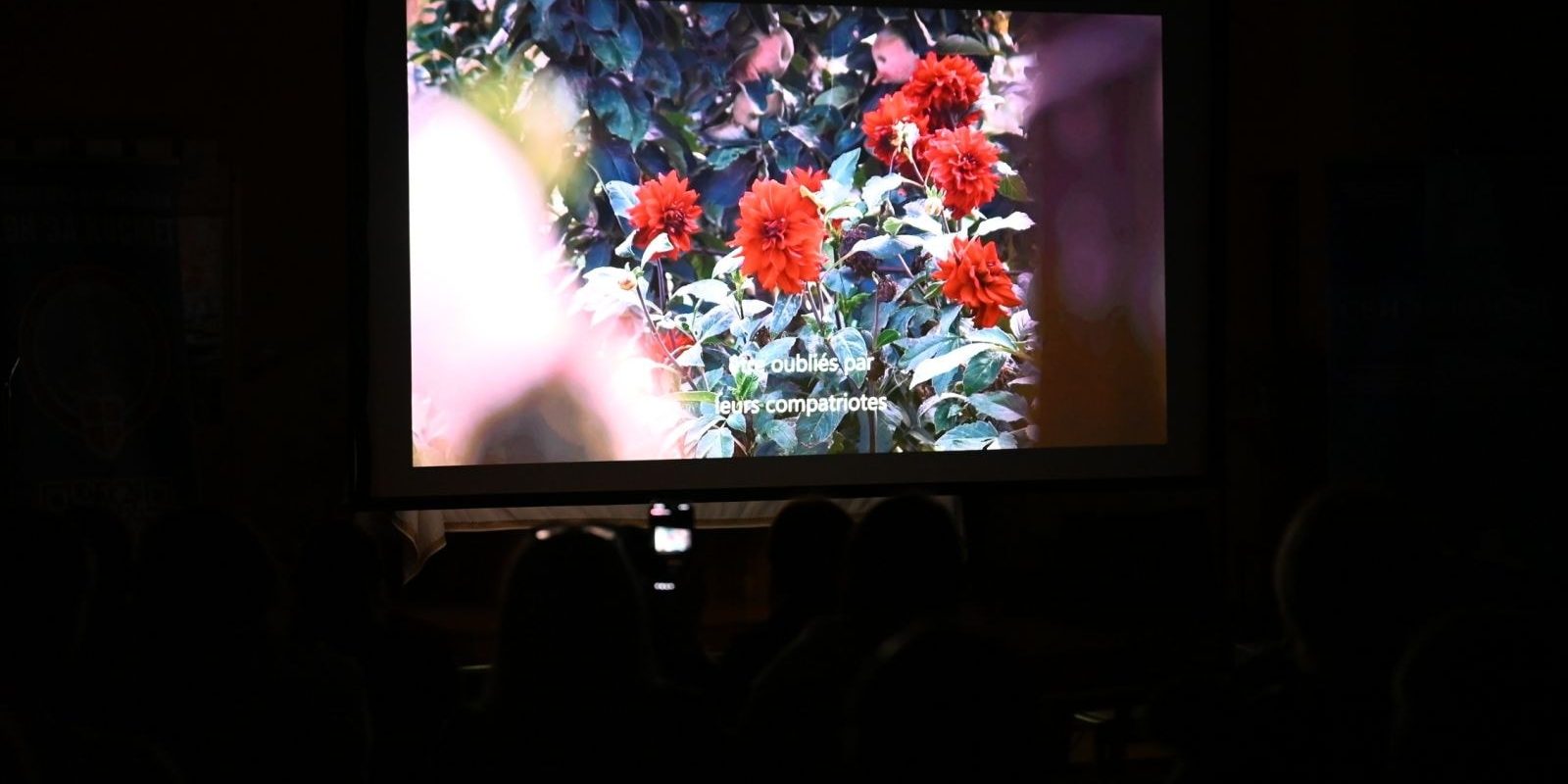 641306929_122121638907084002_4779051869088439040_n